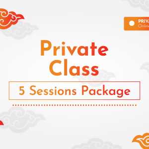 private class 5 sessions package b